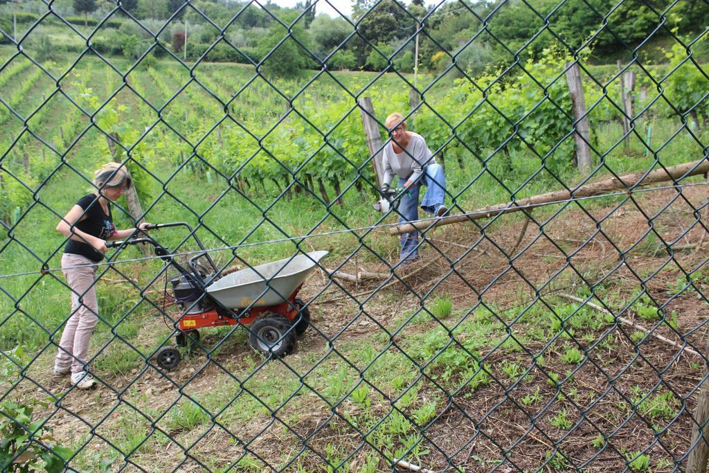 Azienda Agraria La Casella 蒙塔尔奇诺 外观 照片