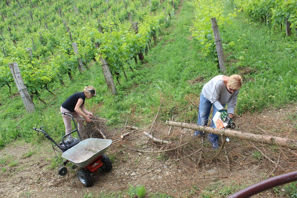 Azienda Agraria La Casella 蒙塔尔奇诺 外观 照片